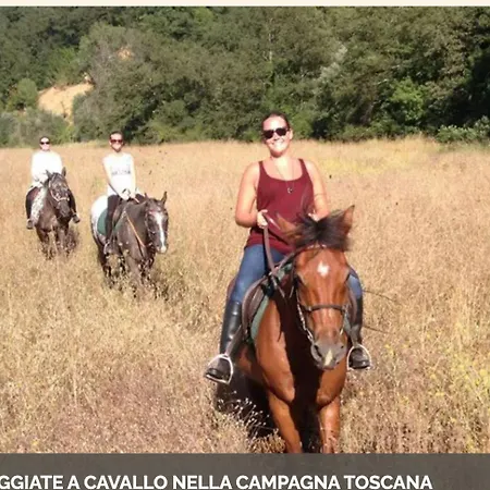 Βίλα A Beautiful Tuscan Estate With Saline Pool Radicondoli