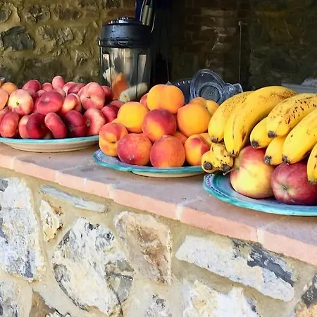 Βίλα A Beautiful Tuscan Estate With Saline Pool Radicondoli